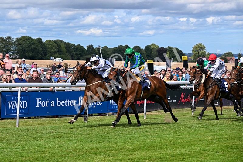 040726-Race 3-Emerald Bay-3910 - Race 3 15.24pm George Kilburn Memorial Nursery Handicap
