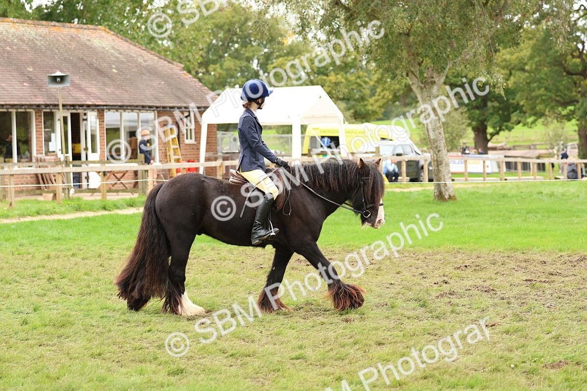 SBM_67516 - S60 - Mini Show Cob Ridden