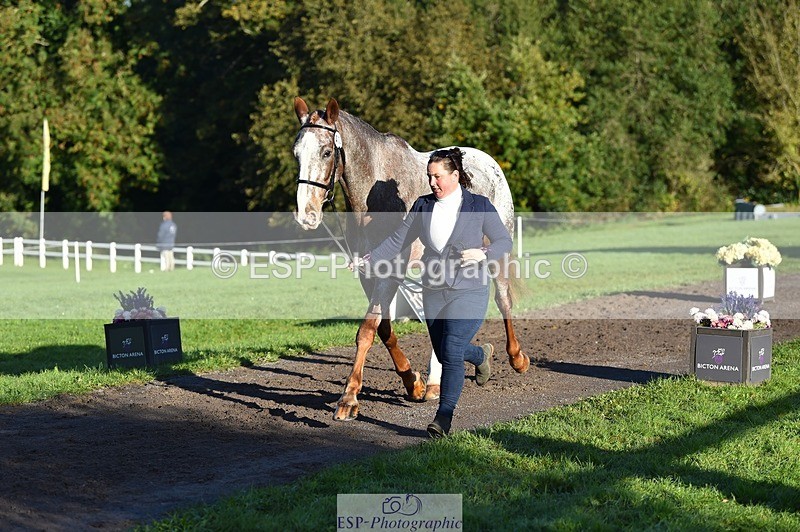 231022-093628-21910 - 412-KELTEK.LUDO-Tracey.Neville-TrotUp+SJ