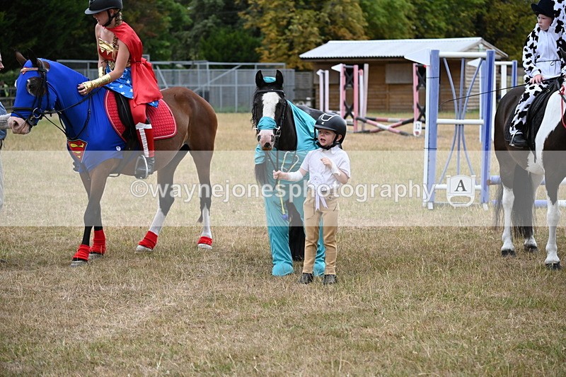 WJ6_9071 - Class 11 Fancy Dress