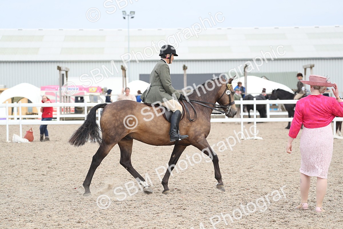 SBM_17391 - Class 315 Best Horse/Rider Combination