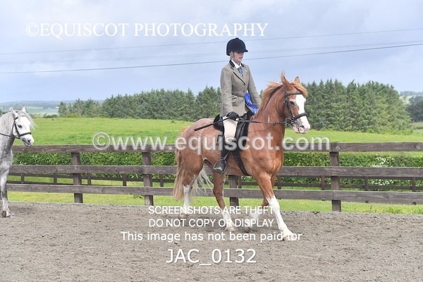 JAC_0132 - CHAMPIONSHIPS AND SUPREME