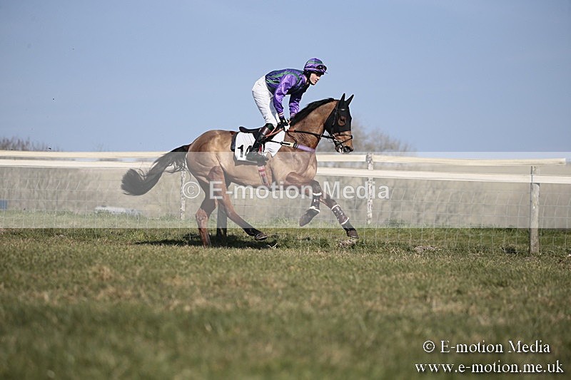 PtP 240218 218 - Vine & Craven Hunt Point-to-Point Barbury racecourse 24/02/18