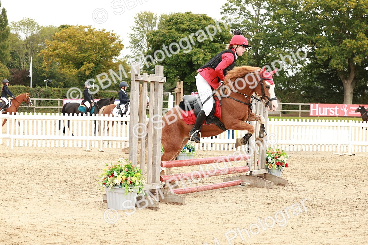 SBM_62070 - J12 - Junior Pony 55cm Championship