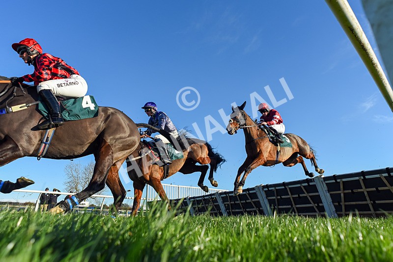 221124-Race 1-You Some Girl-2659 - Race 1