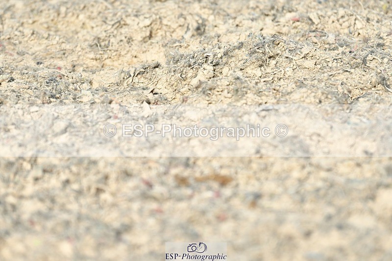 230623-173932-03084 - Cls 10 Advanced Medium 98Q