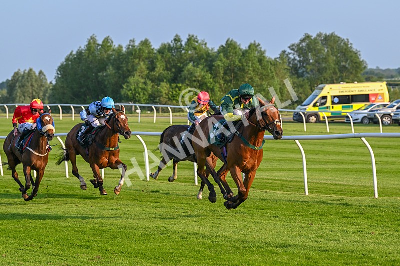 310524-Race 3-Lord Torranaga-8678 - Race 3