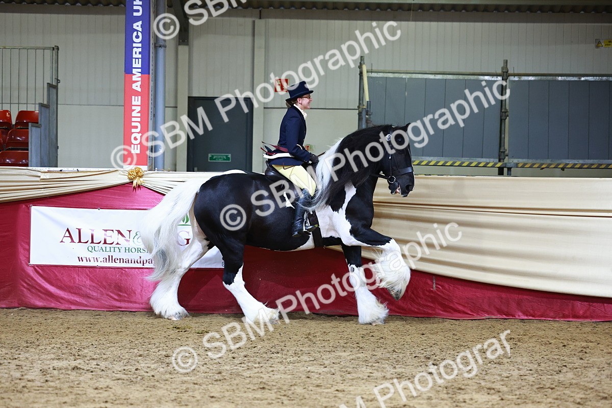 SBM_23595 - class 906 - Supreme Final - Ridden Pre Vet