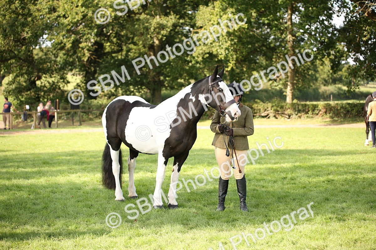 SBM_61205 - S54 - Show Cob In Hand