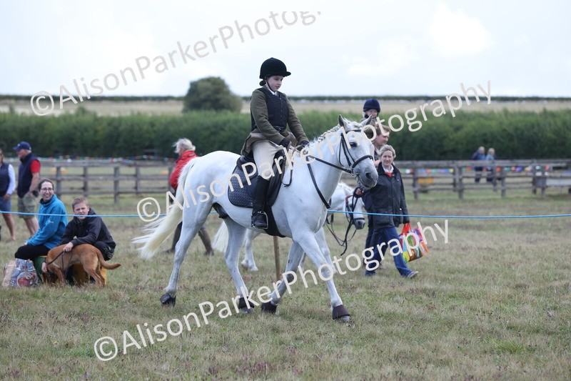 20250831-2396 - Class 16 - Family Pony