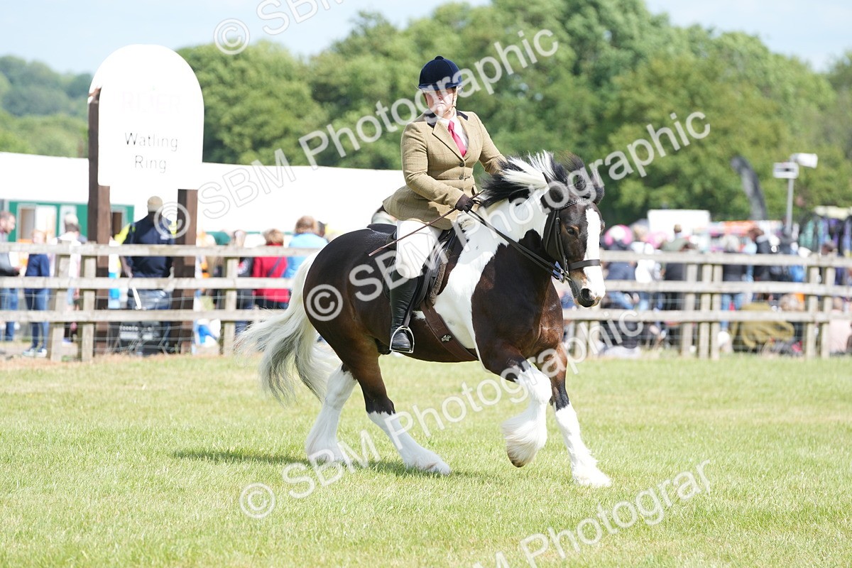 SBM_17295 - Class 107-108 - LIHS BSPS Performance Coloured Horse Pony