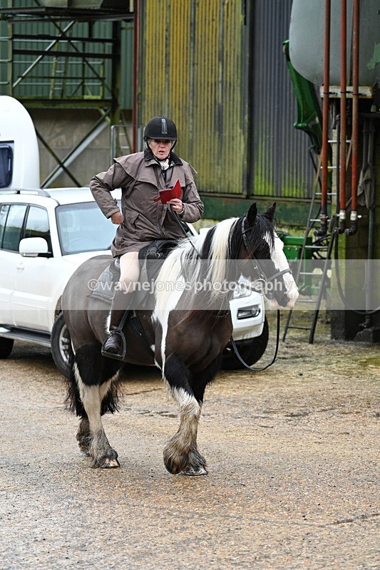 WJ7_8748 - Berks & Bucks - Rowles Farm 15-02-26