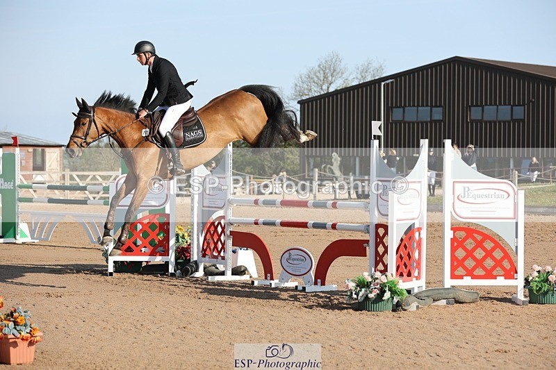 250427-083612-14548 - Cls 28 Young Horse 5yr old