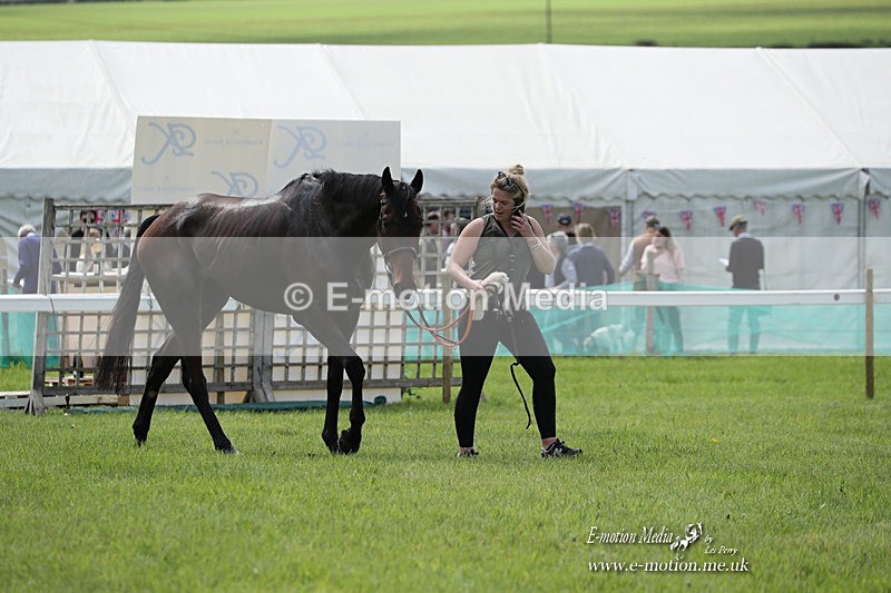 PtP 070523 252 - Kimblewick Races Coronation Meet  Kingston Blount 07/05/23