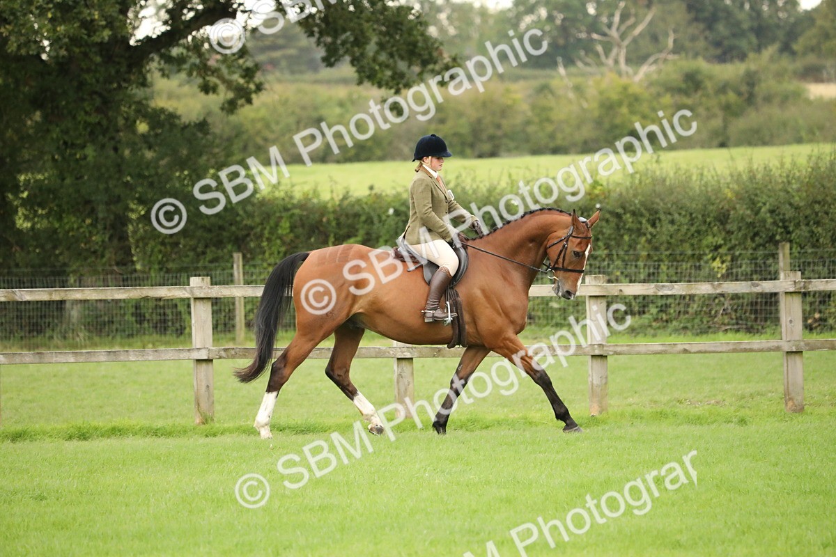 SBM_73738 - S41 - Ridden Equitation (Best Rider)