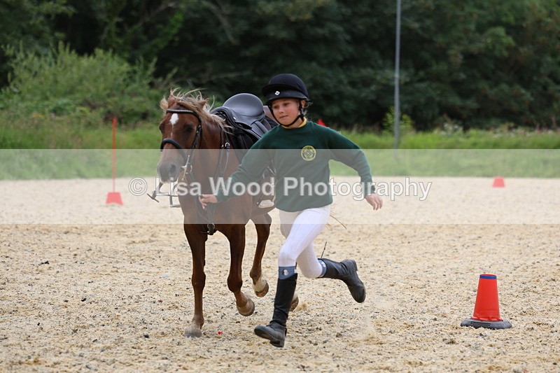 3E7A9614 - Walk trot run