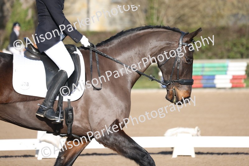 20260128-0225 - Class 3 - Novice 4