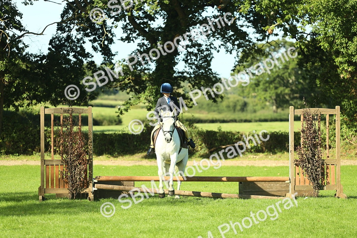 SBM_36484 - S29 - Novice & Newcomers Working Hunter Pony