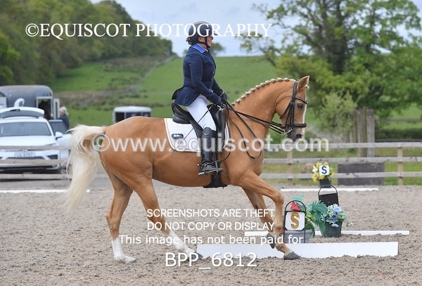 BPP_6812 - 3 D HARRISON