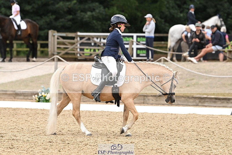 250808A-114525-00691 - 155-Rose.Cassapi-Westfirle.Golden.Oriole