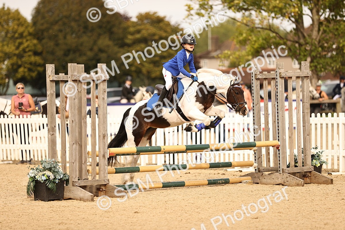 SBM_70815 - J13 - Junior Pony 60cm Championship