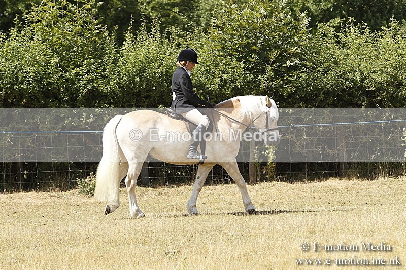 _BS_0710 - BVRC Show 2018 Ring 1