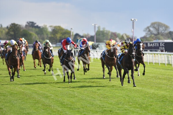 yr12052021r7-29 - Race 7 4.50 pm Conundrum HR Consulting Stakes