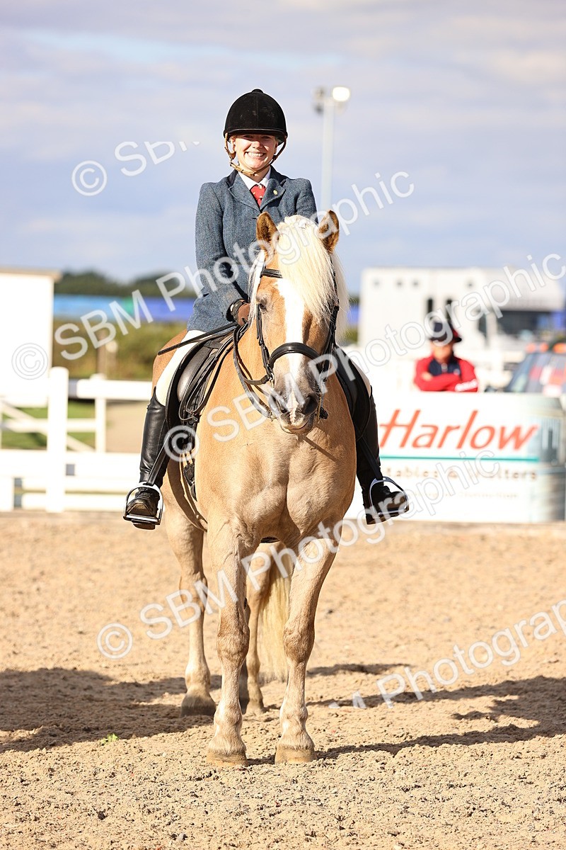 SBM_18268 - Class 423 - Equitation (best rider) Adult