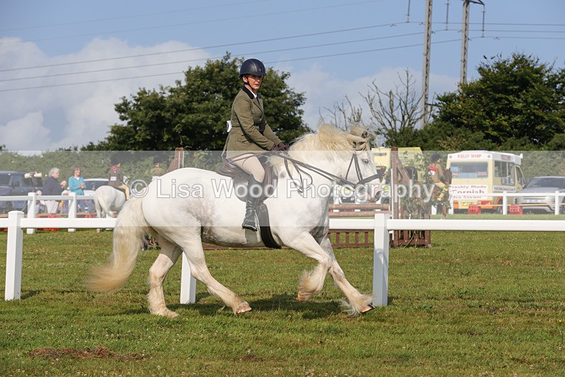 1X9A3241 - Class 28: Ridden Native/Trad Coloured Pony