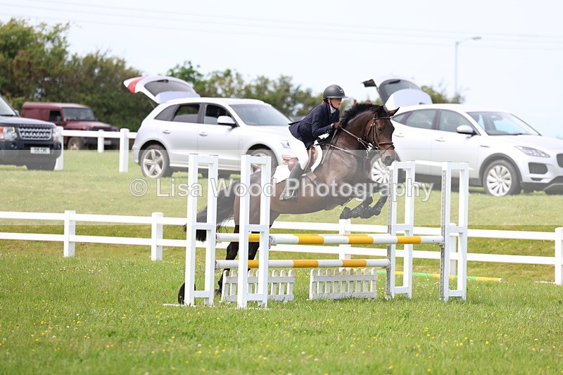 3E7A1580 - Class 13: Senior British Novice/90cm open