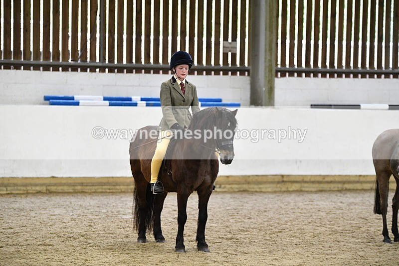 WJ5_7052 - Class 10 Childs Pony