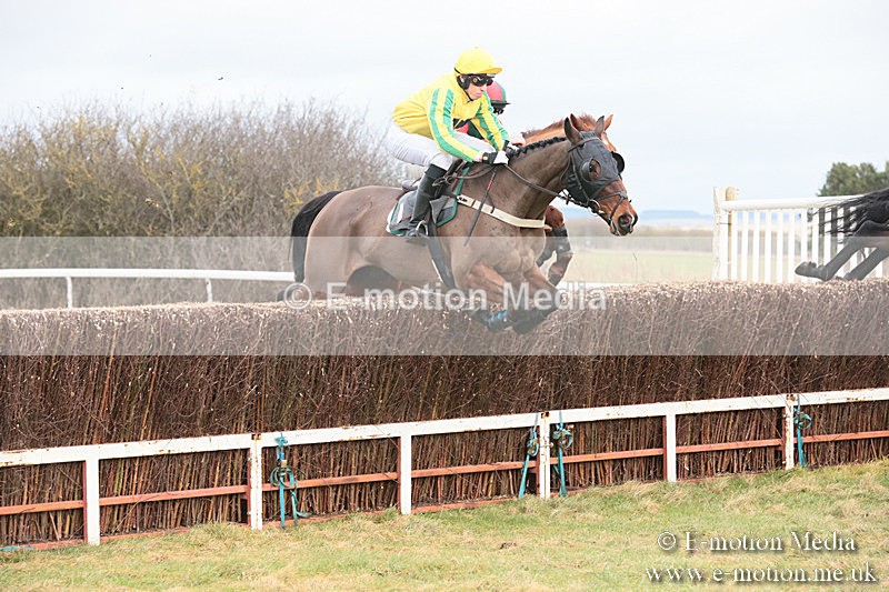 PtP 230119 53 - Royal Artillery Point-to-Point  - Larkhill  - 26/01/19