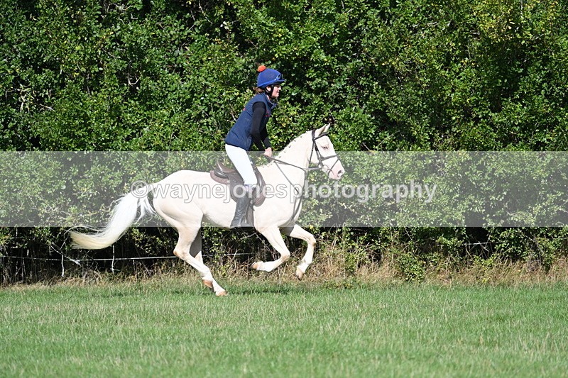 WJ7_8556 - 60cm Pairs