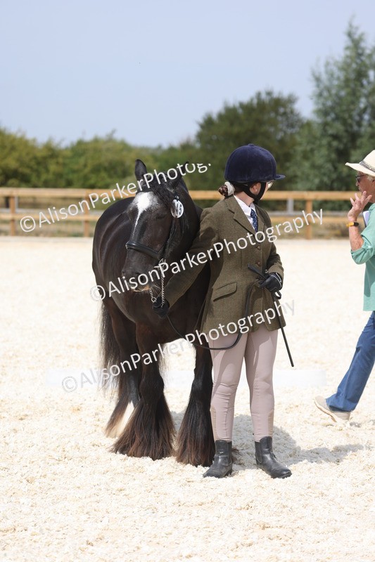 20260802-1499 - Class 16 - Best Horse or Pony