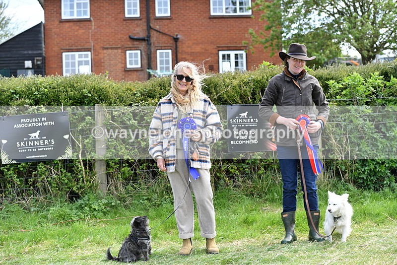 WJ5_0847 - Best in Show Championship