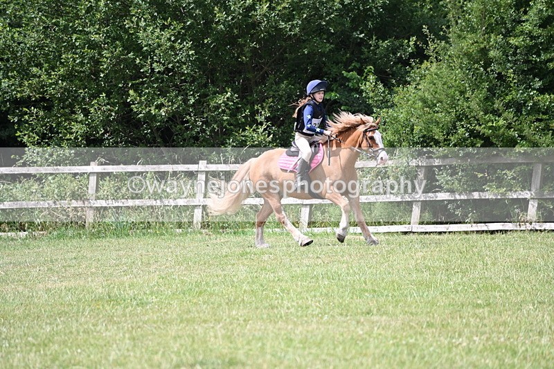 WJ6_6860 - 80cm XC Pairs