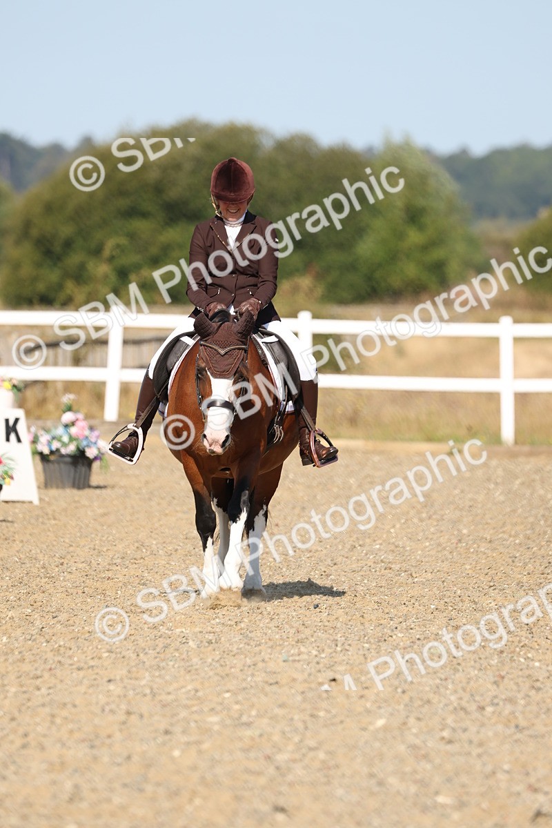 SBM_012805 - Class 1 - P5 Bronze 9.00.10.12