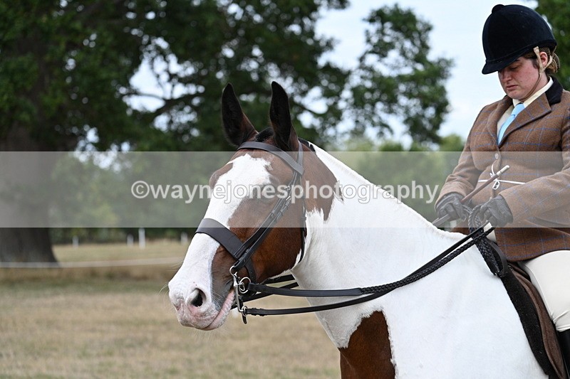 WJ7_5208 - Class 12 Ridden Cob