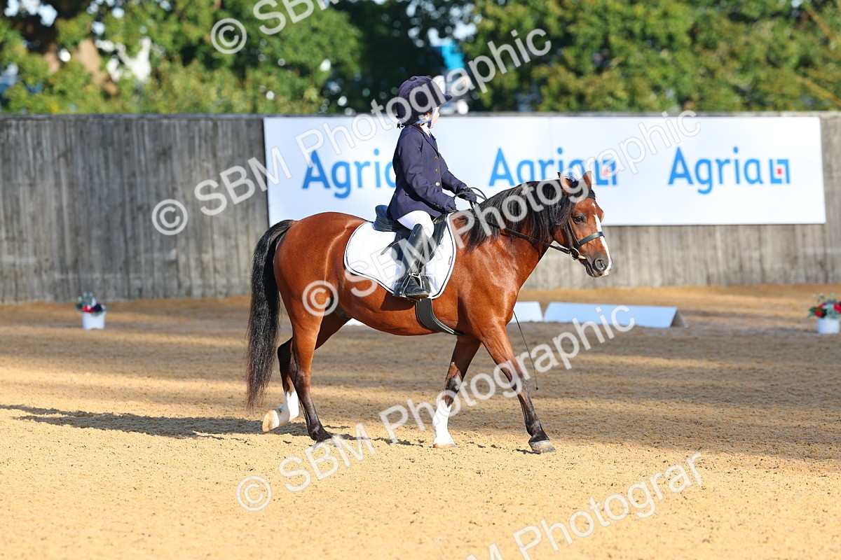 SBM_33515 - D26 - Test Starter Test 1