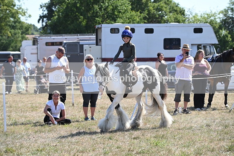 WJ6_8933 - Class 38 Ridden Riding Horse/Pony