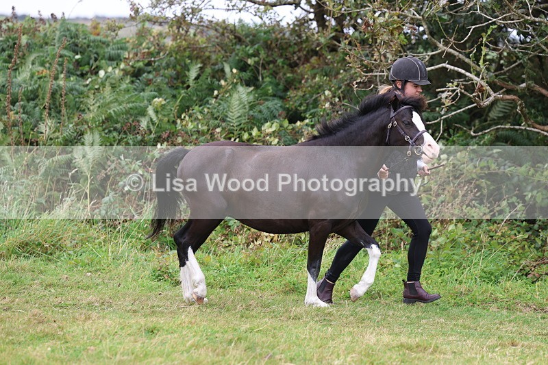 3E7A4328 - Class 15: Three Year Olds