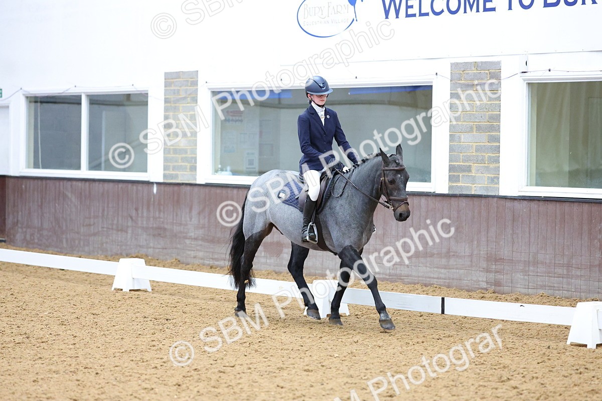 SBM_002590 - Novice
