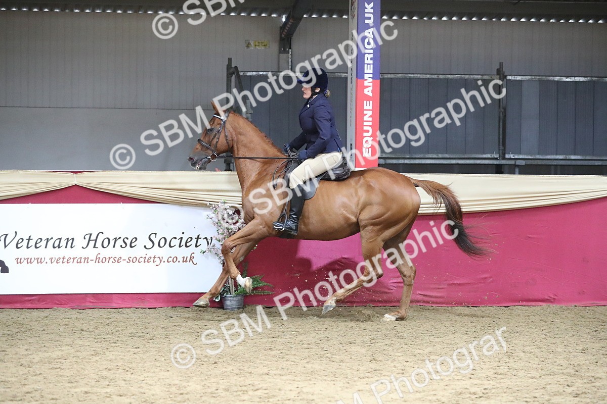 SBM_12343 - Class 108 Ridden Retired Racehorse- Pre Judging