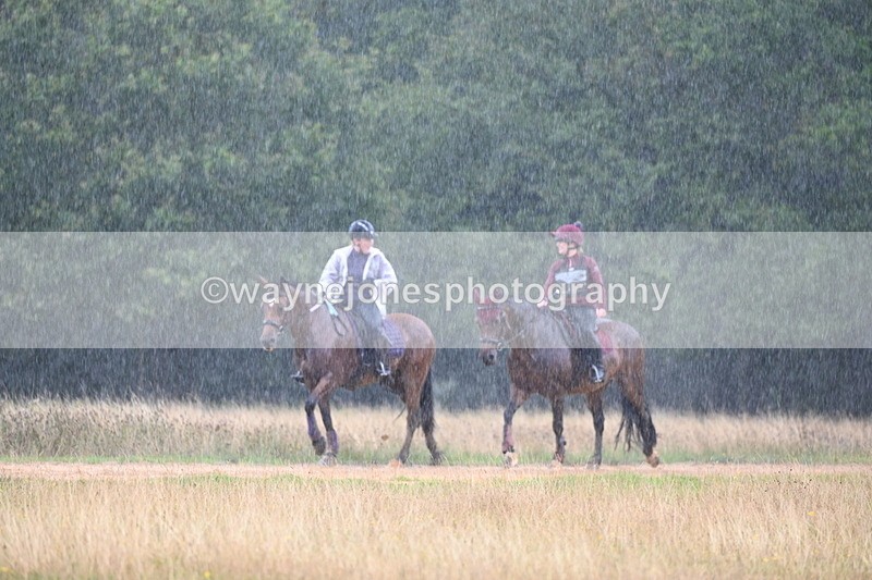 DSC_3237 - Time at Statue 12:59 to 13:49