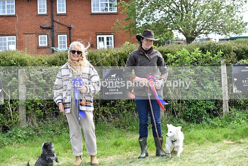 WJ5_0838 - Best in Show Championship