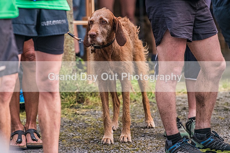 Steel Fell-856 - Steel Fell Race Wednesday 6th August 2025