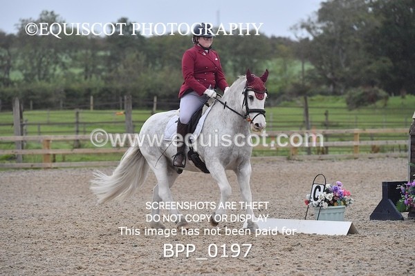 BPP_0197 - NOVICE 4 & 6