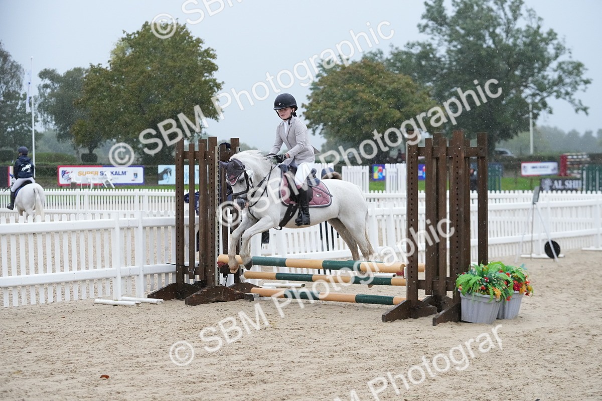 SBM_36125 - J5 - Junior Pony 50cm Championship