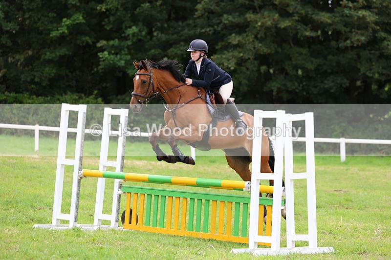 3E7A7119 - Class 5: Senior British Novice/90cm open