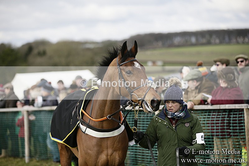PtP 040218 8 - Point-to-Point Milborne St Andrew 04/02/18